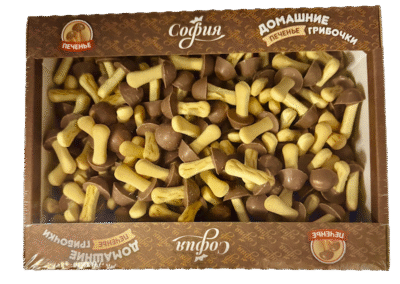 DOMASHNIE GRIBOCHKI Cookies w/Milk Chocolate Glaze 500g Box