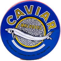 KALUGA Great  Black Caviar 250g (Tin)