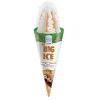 LIMO Ice Cream BIG ICE Hazelnut&ToffeeTaste in Wafer Cone 140g*16