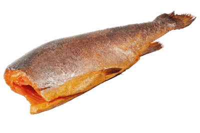 HAIFA Cold Smoked Whole Semga .. (5-7lbs*5) N/V (Kosher)