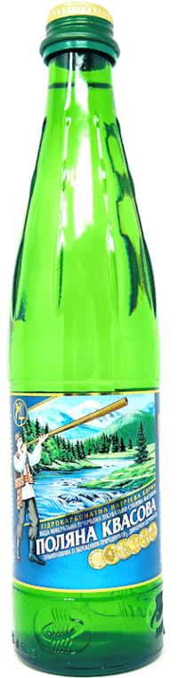 POLYANA KVASOVA Miner. Water 500ml*12