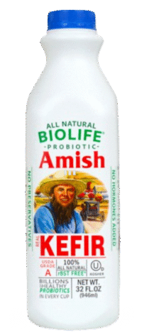 BIOLIFE Kefir Amish Probiotic (Kosher) 32oz*12