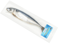 HAIFA Mackerel MALOSOL in Brine V/P 100 Natural (Kosher) 15lbs