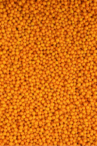 FARMWAY Frozen Sea Buckthorn 22.05LB Bulk Box (4*5.5lb)
