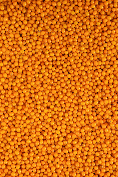 FARMWAY Frozen Sea Buckthorn 22.05LB Bulk Box (4*5.5lb)