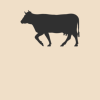 DAIRY DEPT